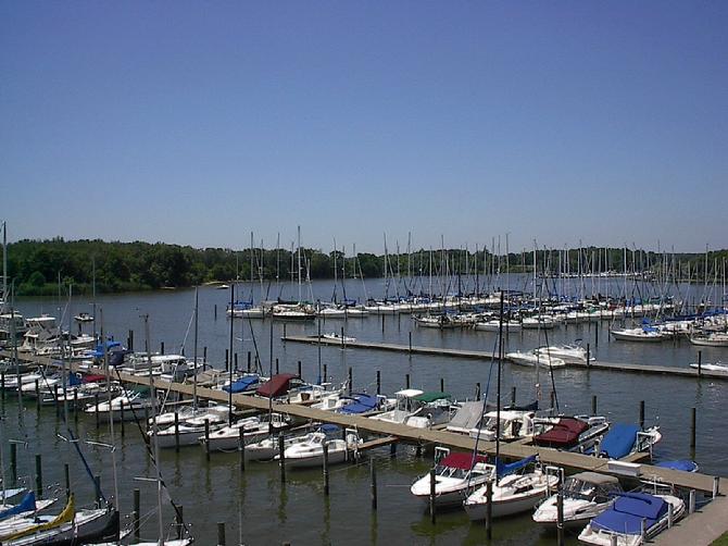 Marina Frog Mortar Creek